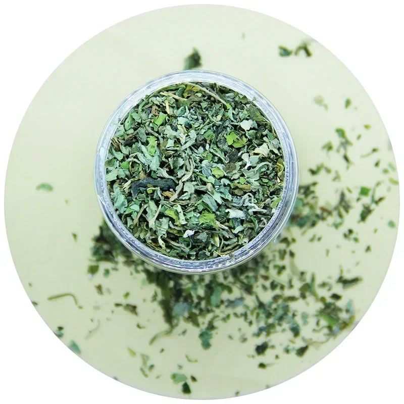 Catnip Cattle Grass Organic