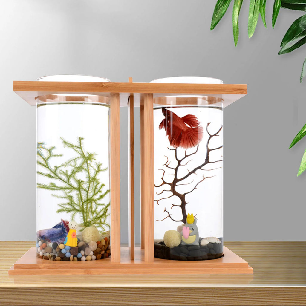 Desktop Micro Landscape Fish Tank