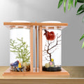 Desktop Micro Landscape Fish Tank