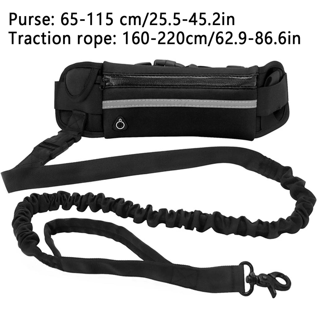 Hands Free Dog Leash Reflective Leash with Waist Bag