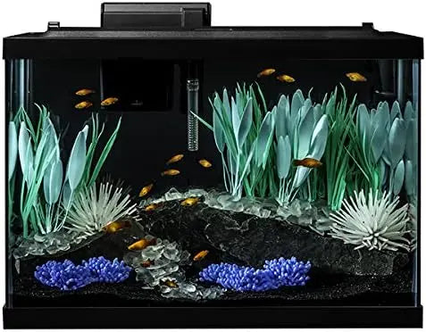 20 Gallon Aquarium Kit with LED Lighting and Decor