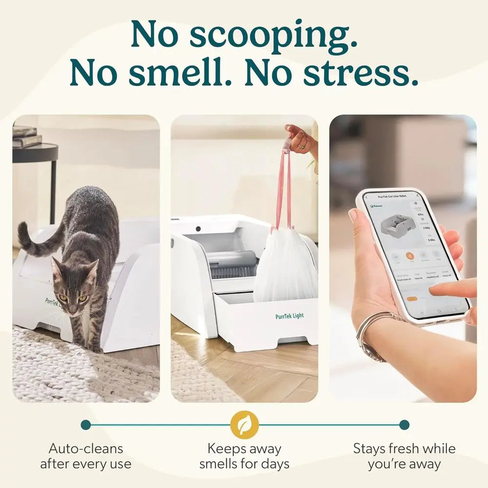 Self Cleaning Litter Box