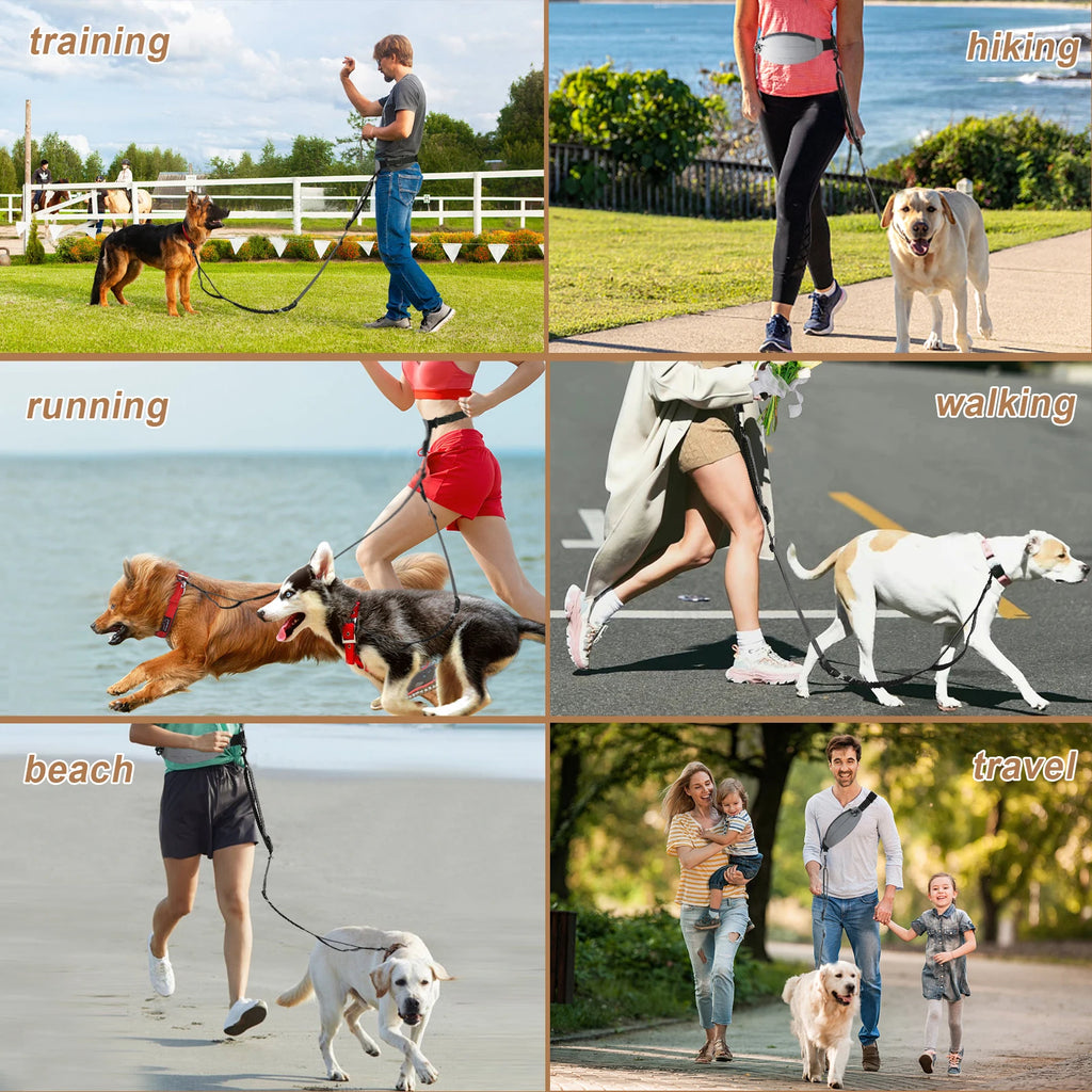 Crossbody Hand Free Leash with Reflective Waist Pouch